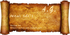 Antal Gál névjegykártya